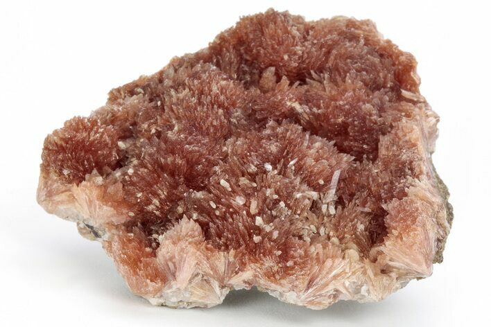 Fibrous, Rose-Red Inesite Crystal Aggregation - South Africa #210757